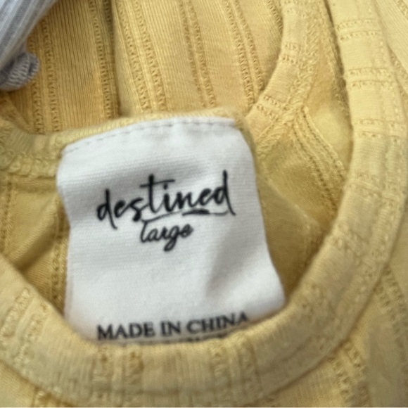 DESTINED Size Large - THREE Crop Tops - Picture 5 of 7